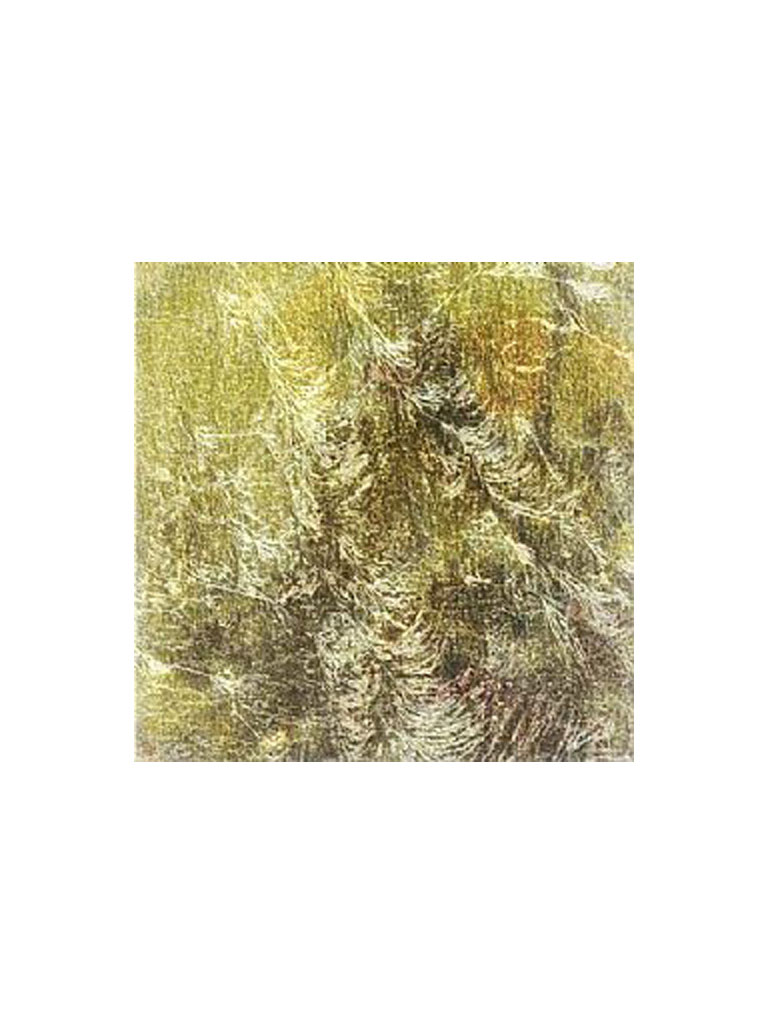 golden-leaves-oxidized-black-14x14cm